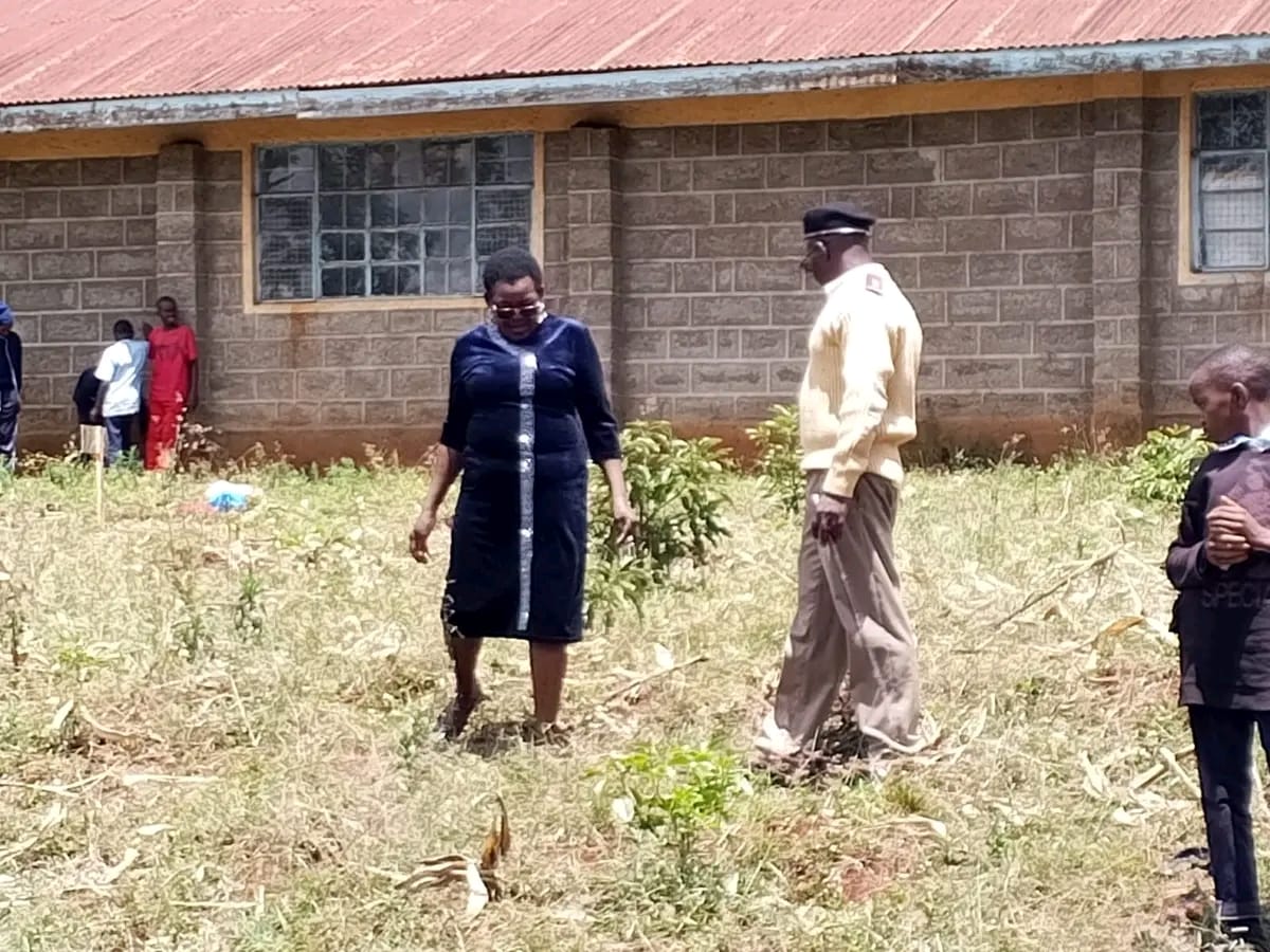 OASIC SACCO news and events: Tree planting initiative with Gathugu Comprehensive School promoting environmental conservation and community empowerment