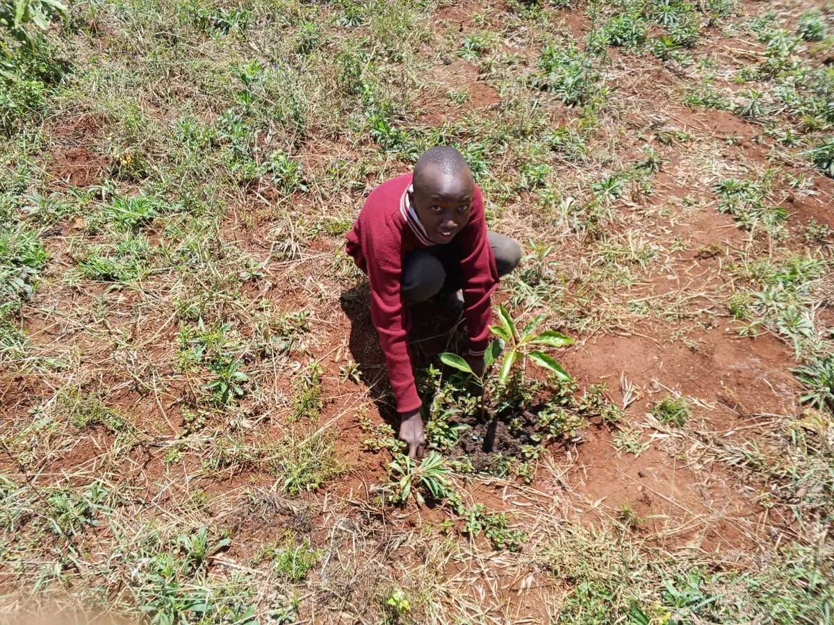 <br><br><br>OASIC SACCO news and events: Tree planting initiative with Gathugu Comprehensive School promoting environmental conservation and community empowerment
